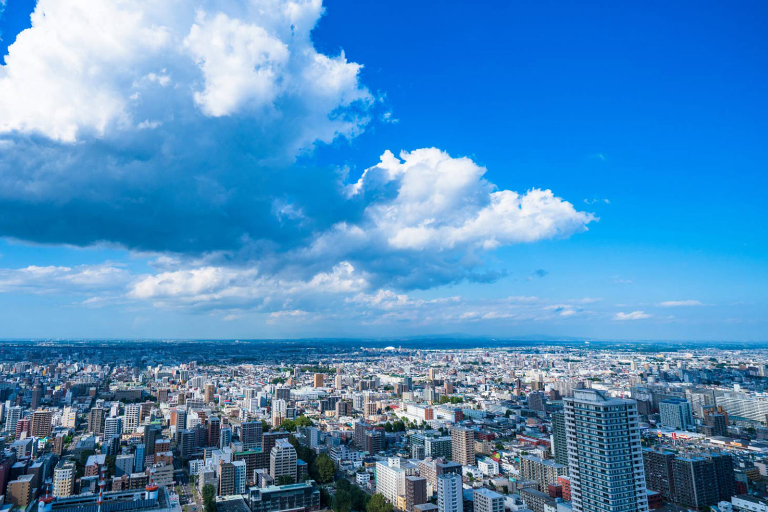 株式会社竹山